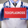 Toxoplasmosi in gravidanza: le regole per la prevenzione