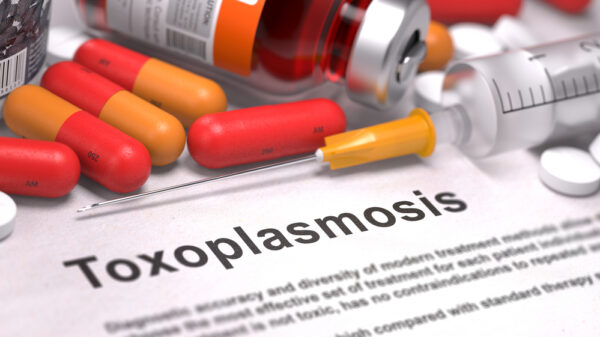 Toxoplasmosi in gravidanza: cosa fare se il test è positivo