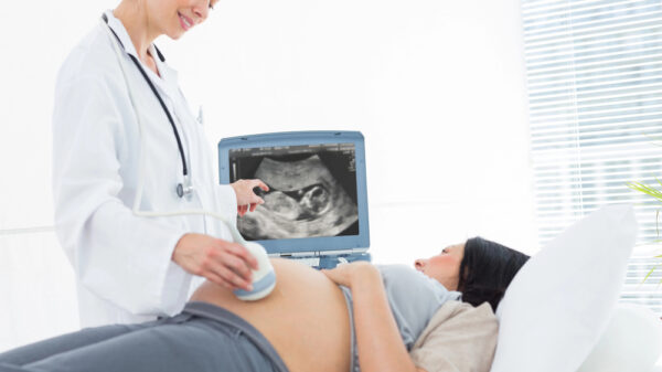 Morfologica in gravidanza: quando si esegue e cosa si vede