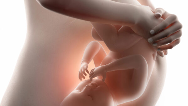 I segreti della vita nel grembo materno: cosa percepisce veramente il feto?