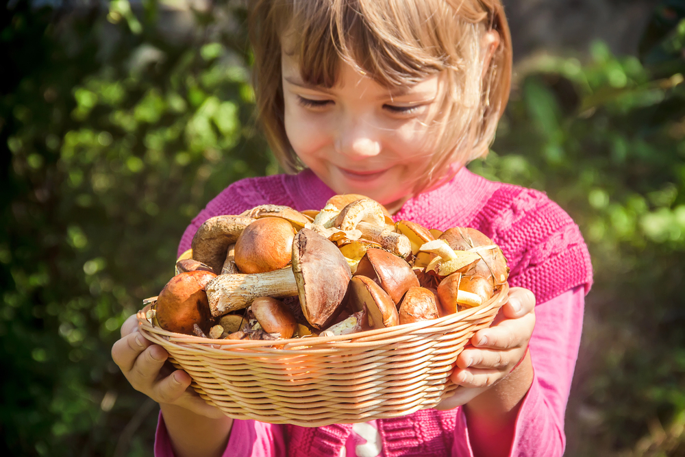 Funghi: a che età si possono dare ai bambini?